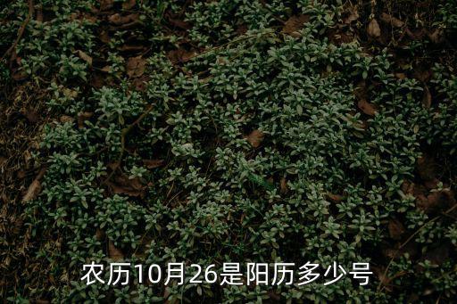 10月26日，10月二十六號用英語怎么拼