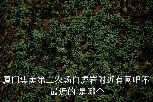 廈門集美第二農場白虎巖附近有網吧不 最近的 是哪個