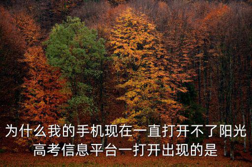 為什么我的手機(jī)現(xiàn)在一直打開(kāi)不了陽(yáng)光高考信息平臺(tái)一打開(kāi)出現(xiàn)的是