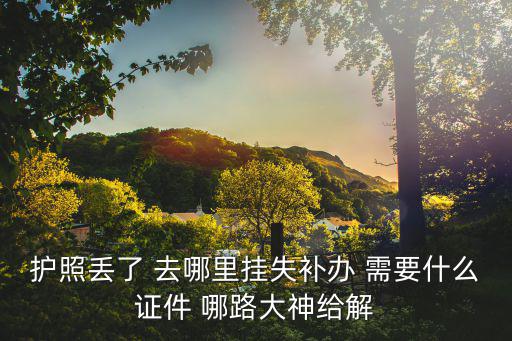 護(hù)照丟了 去哪里掛失補(bǔ)辦 需要什么證件 哪路大神給解