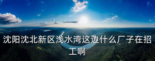 沈陽沈北新區淺水灣這邊什么廠子在招工啊