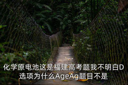 化學原電池這是福建高考題我不明白D選項為什么AgeAg題目不是