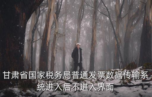 甘肅省國家稅務局普通發票數據傳輸系統進入后不進入界面