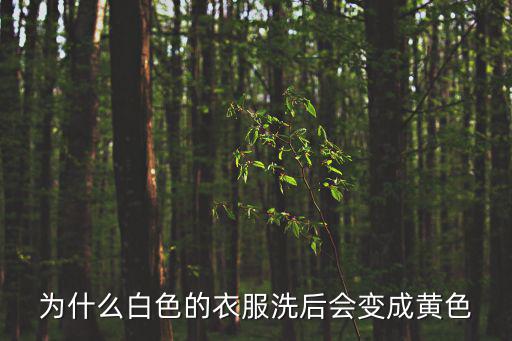 為什么白色的衣服洗后會變成黃色