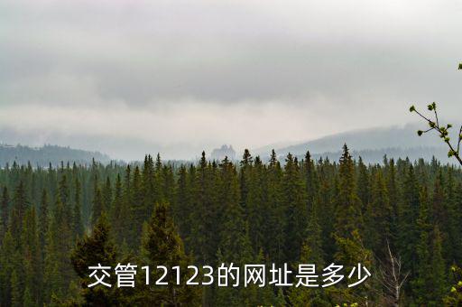 交管官網，省市兩交管官網違章數據不一樣怎么辦