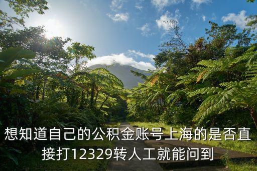 想知道自己的公積金賬號上海的是否直接打12329轉人工就能問到