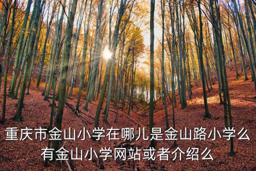 重慶市金山小學在哪兒是金山路小學么有金山小學網站或者介紹么