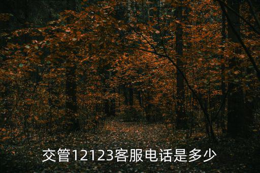 交管12123客服電話是多少