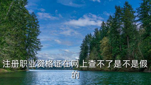 注冊職業資格證在網上查不了是不是假的