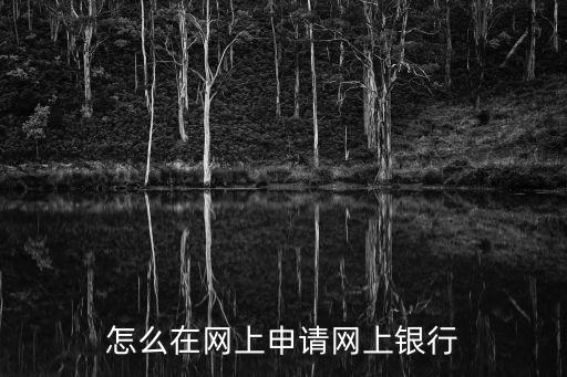 怎么在網(wǎng)上申請(qǐng)網(wǎng)上銀行