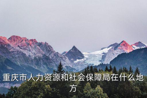 重慶市人力資源和社會保障局在什么地方