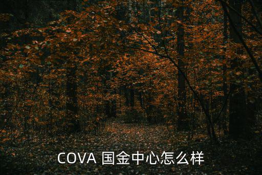 COVA 國金中心怎么樣