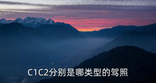 C1C2分別是哪類型的駕照
