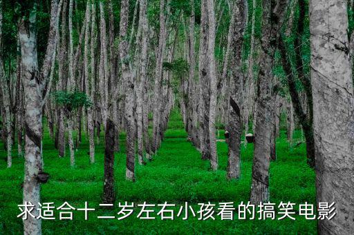 求適合十二歲左右小孩看的搞笑電影