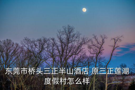 東莞市橋頭三正半山酒店 原三正蓮湖度假村怎么樣