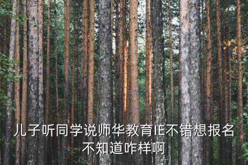 兒子聽同學說師華教育IE不錯想報名不知道咋樣啊