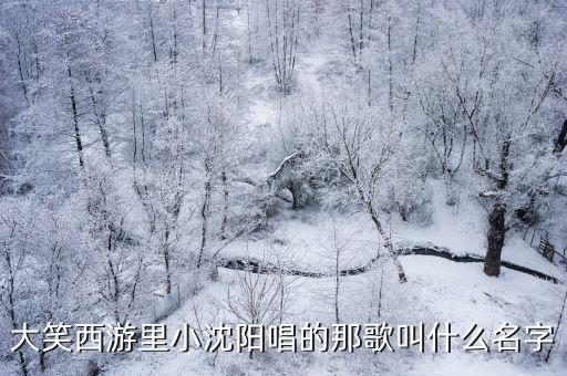 大笑西游里小沈陽唱的那歌叫什么名字