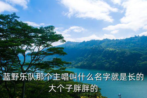 藍(lán)野樂(lè)隊(duì)，藍(lán)野樂(lè)隊(duì)那個(gè)主唱叫什么名字就是長(zhǎng)的大個(gè)子胖胖的