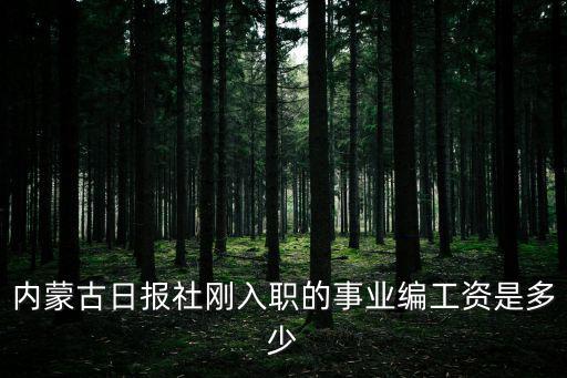 內蒙古日報社剛入職的事業編工資是多少