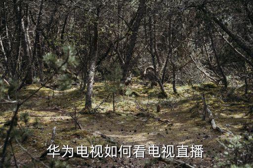 華為電視如何看電視直播