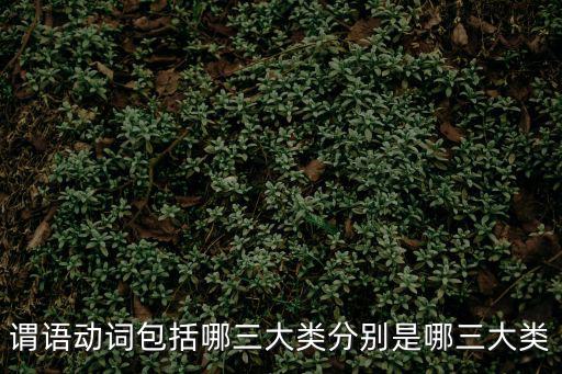 謂語動詞包括哪三大類分別是哪三大類