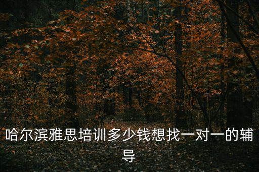 哈爾濱雅思培訓多少錢想找一對一的輔導