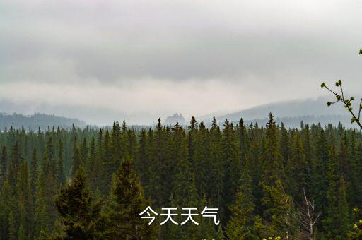 今天天氣