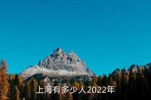 上海有多少人2022年