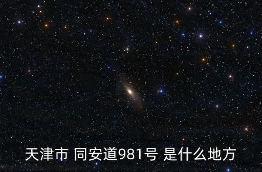 同安道，天津市 同安道981號 是什么地方