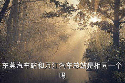 東莞汽車總站，東莞汽車總站在那里