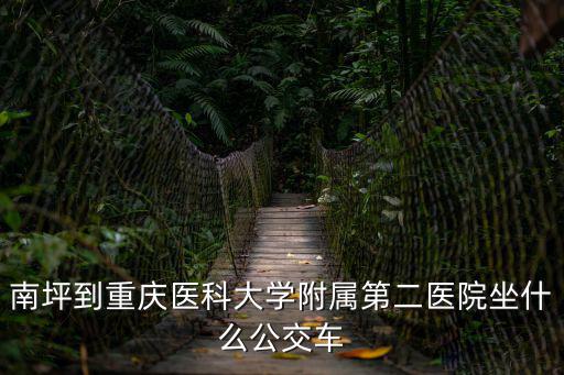 南坪到重慶醫(yī)科大學(xué)附屬第二醫(yī)院坐什么公交車