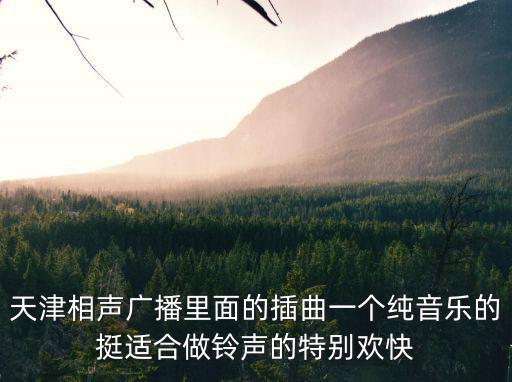 天津相聲廣播里面的插曲一個純音樂的挺適合做鈴聲的特別歡快