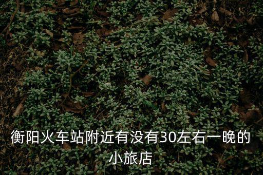 衡陽火車站附近有沒有30左右一晚的小旅店