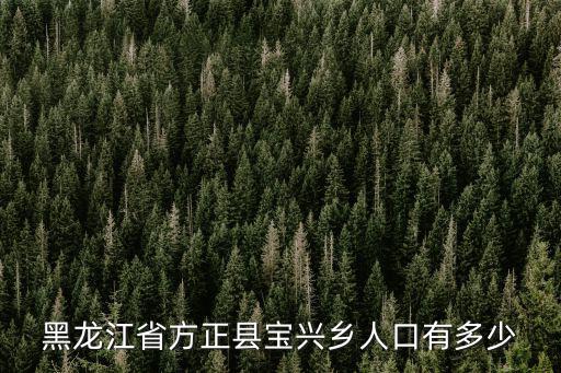 黑龍江省方正縣寶興鄉(xiāng)人口有多少