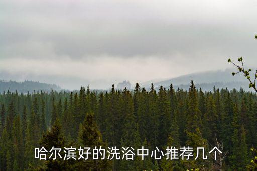 哈爾濱好的洗浴中心推薦幾個(gè)