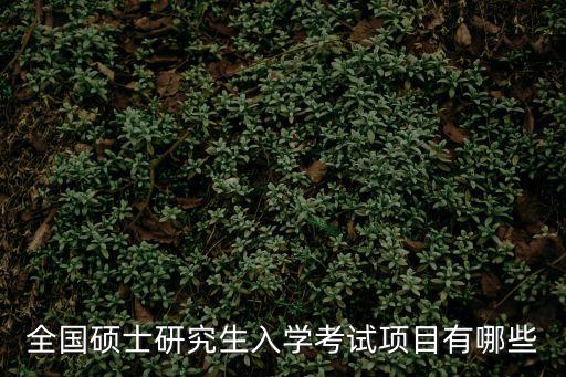 全國(guó)碩士研究生入學(xué)考試項(xiàng)目有哪些