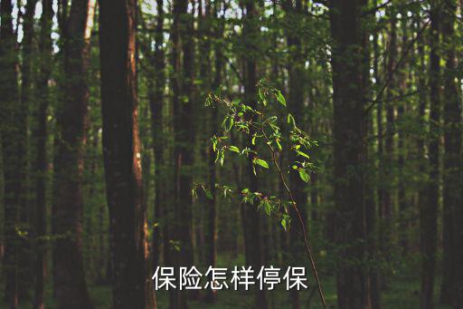 保險怎樣停保