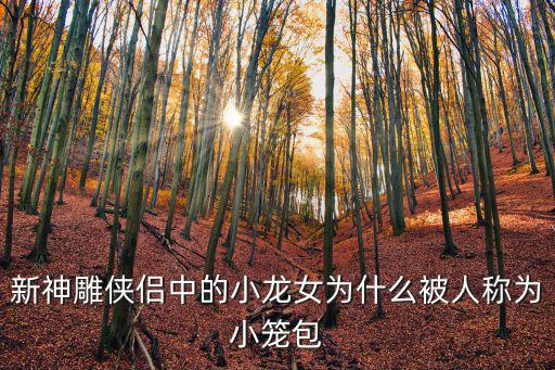 新神雕俠侶中的小龍女為什么被人稱為小籠包