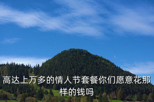 高達上萬多的情人節套餐你們愿意花那樣的錢嗎