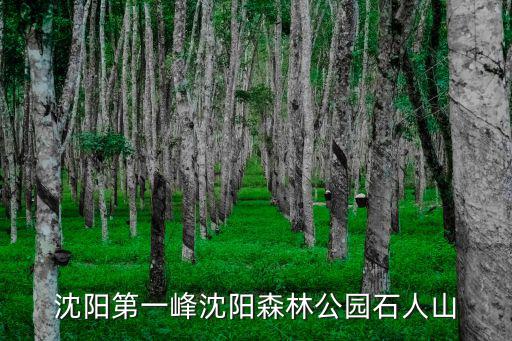 沈陽第一峰沈陽森林公園石人山