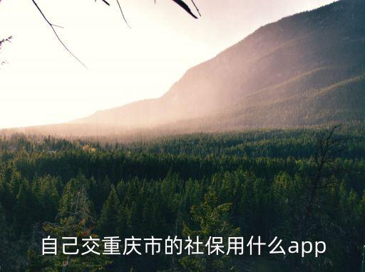 自己交重慶市的社保用什么app