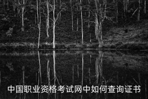 中國職業資格考試網中如何查詢證書