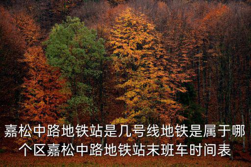 嘉松中路地鐵站是幾號(hào)線地鐵是屬于哪個(gè)區(qū)嘉松中路地鐵站末班車時(shí)間表