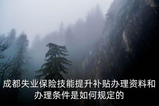 成都失業(yè)保險(xiǎn)技能提升補(bǔ)貼辦理資料和辦理?xiàng)l件是如何規(guī)定的