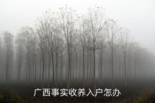 廣西事實收養入戶怎辦