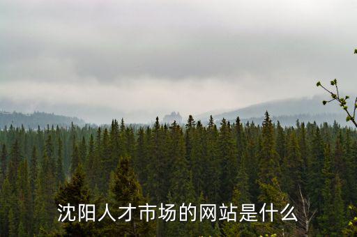 沈陽人才市場的網站是什么