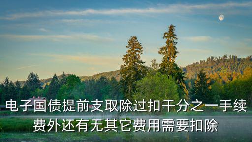 電子國債提前支取除過扣干分之一手續費外還有無其它費用需要扣除