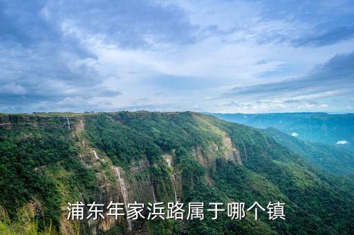 年家浜路，滬南線到年家浜路多少錢5還是6元
