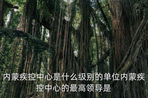 內蒙疾控中心是什么級別的單位內蒙疾控中心的最高領導是