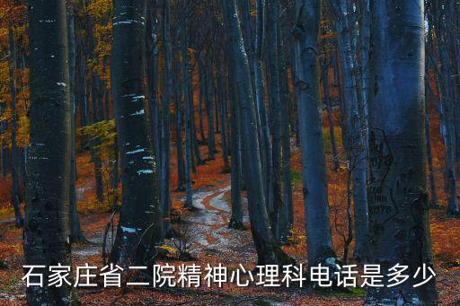 石家莊省二院精神心理科電話是多少